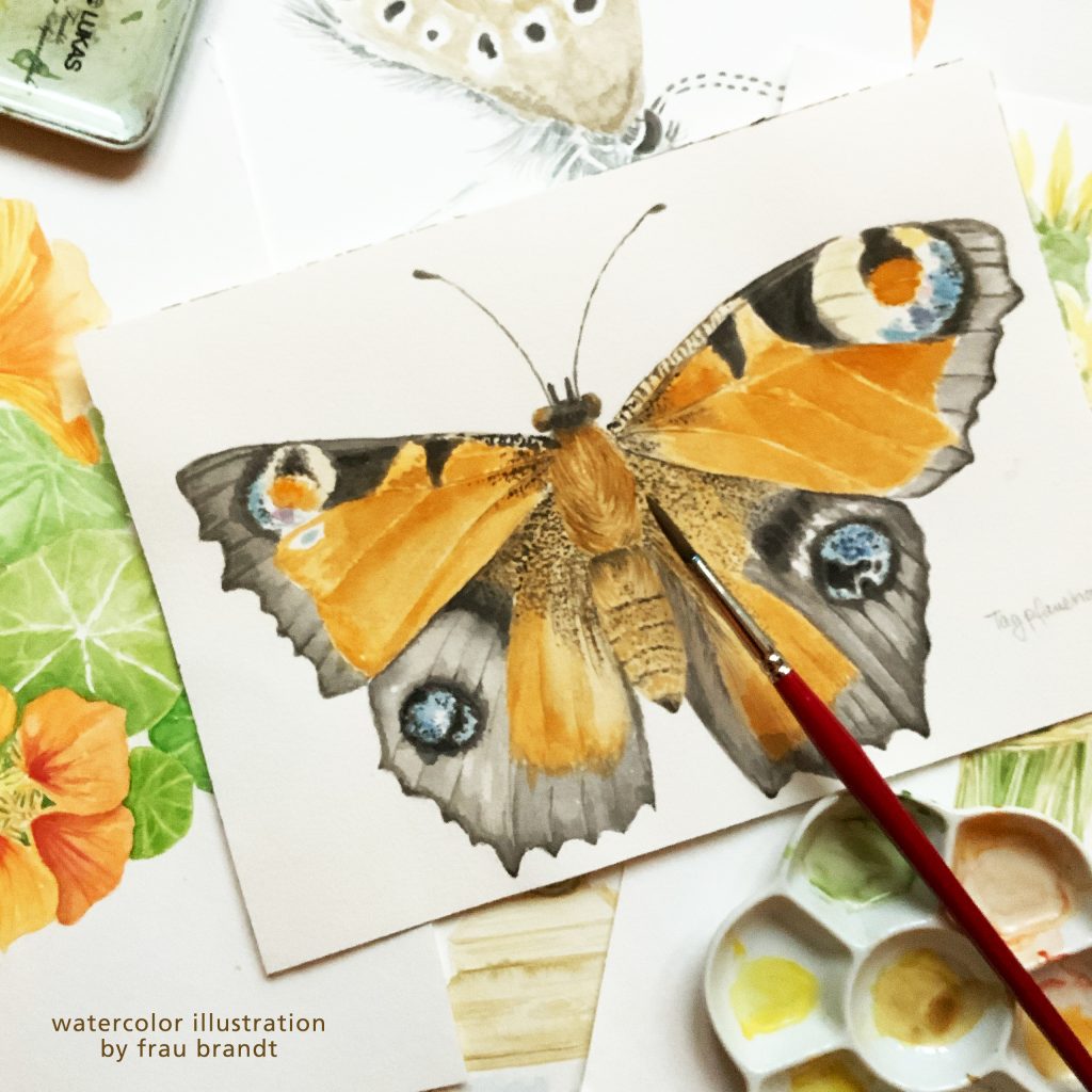 Aquarell mit Schmetterling, watercolor illustration of a butterfly